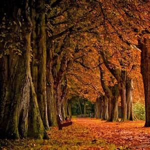 Meet your Posher, Shirley